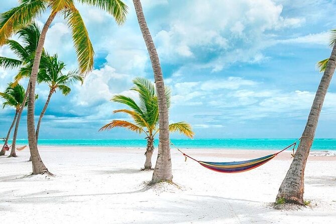 Saona Island Full Day Adventure From Punta Cana & Bavaro - Timing, group size, and comfort tips