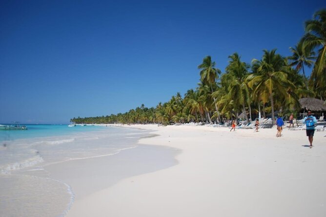 Saona Island Full Day Adventure From Punta Cana & Bavaro - Who will enjoy this Saona day trip most?