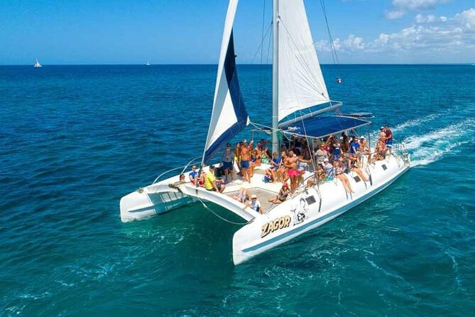 Saona Island Full Day Adventure From Punta Cana & Bavaro - Should you book the Saona Island Full Day Adventure?