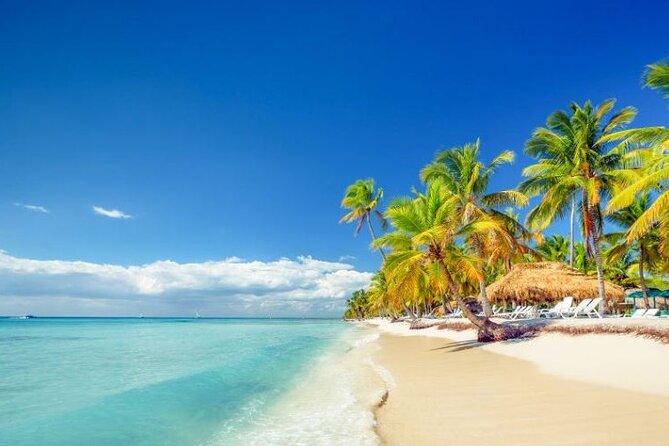 Saona Island Full-Day Excursion - Key points to know before booking
