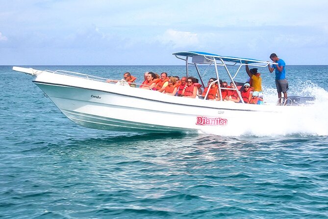 Saona Island Full Day Excursion from Punta Cana + Catamaran Party - Saona Island: beautiful, busy, and worth the trip