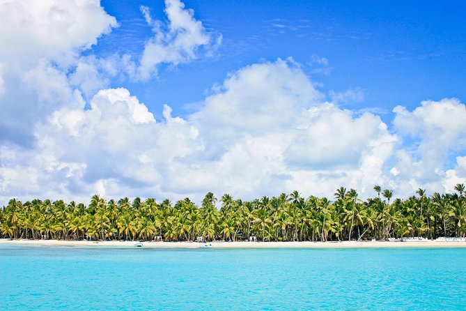 Saona Island Full Day From Punta Cana - The natural pool and starfish sandbar