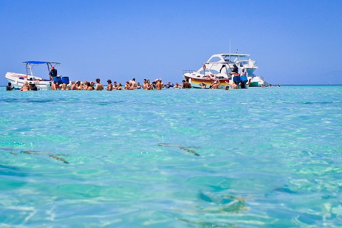 Saona Island Full Day From Punta Cana - Saona Island beach time and the buffet lunch