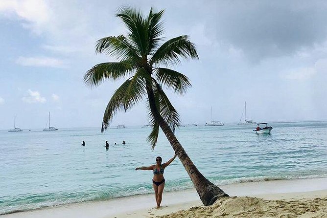 Saona Island Full Day From Punta Cana - Who should book this Saona Island outing?