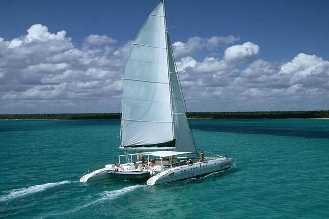 Saona Island Full Day Tour Lunch and Transportation Included - Why this Saona trip works as a full-day escape
