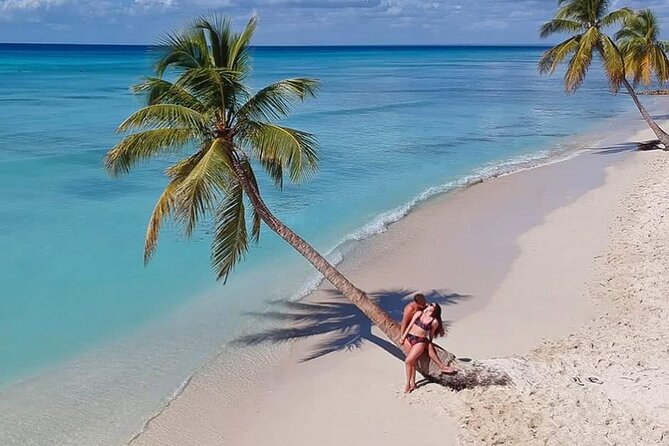 Saona Island Full Day Tour Lunch and Transportation Included - Speedboat views from Bayahibe