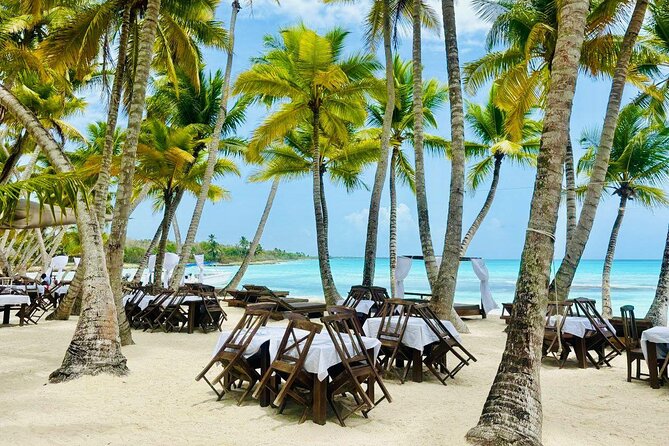 Saona Island Full Day Tour with Buffet Lunch, Paella, & Open Bar - The Saona day in one glance