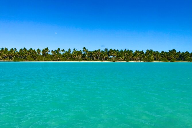 Saona Island Full Day Tour with Buffet Lunch, Paella, & Open Bar - Three hours on Saona Island