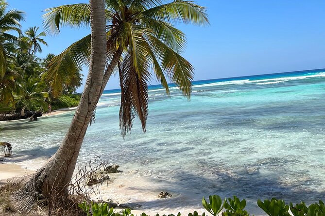 Saona Island Full Day Tour with Buffet Lunch, Paella, & Open Bar - Paella lunch at your own table