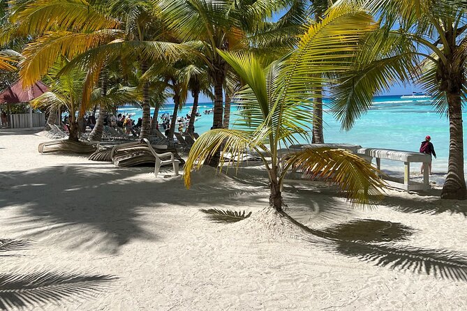Saona Island Full Day Tour with Buffet Lunch, Paella, & Open Bar - How the schedule feels in real life