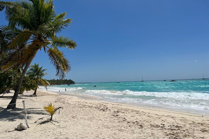 Saona Island Full Day Tour with Buffet Lunch, Paella, & Open Bar - What to bring and what to expect