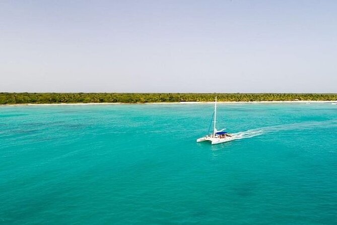 Saona Island Full-Day Tour with Lunch from Punta Cana - Why Saona Island is worth a full day