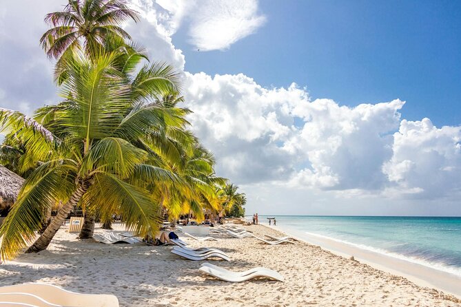Saona Island Full-Day Tour with Lunch from Punta Cana - What the guides add to the day
