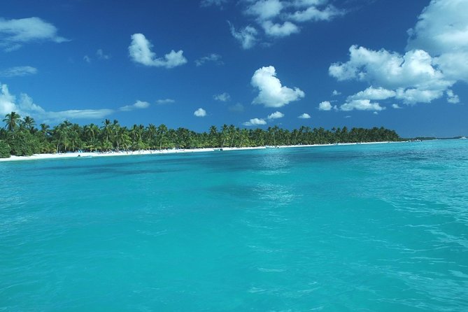 Saona Island Full-Day Tour with Lunch from Punta Cana - Catamaran sailing and the trip to Saona