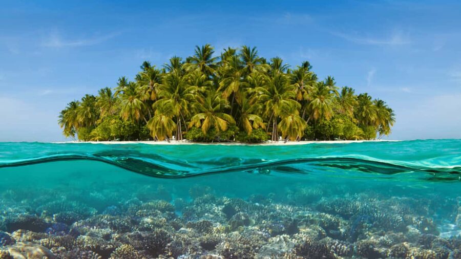 Saona Island: Hidden Beach & Natural Pool - What the $59 price really covers