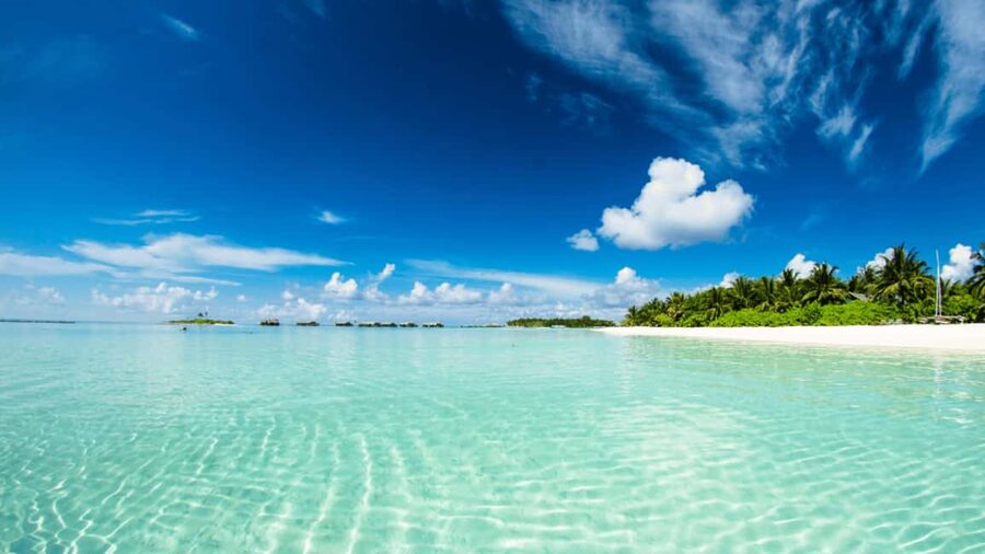 Saona Island: Hidden Beach & Natural Pool - Four hours around Saona Island