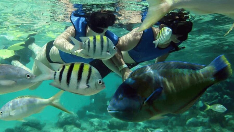Saona Island: Hidden Beach & Natural Pool - The beach, swimming, and the natural pool question