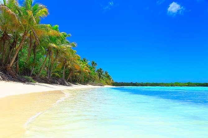 Saona Island Paradise Full Day - all inclusive. From Punta Cana & Bayahibe - The natural pool is the easiest water stop
