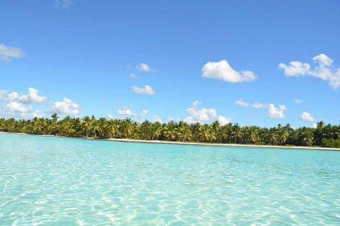 Saona Island Private +8 People Platinum Transfer - Leaving Punta Cana in a private vehicle