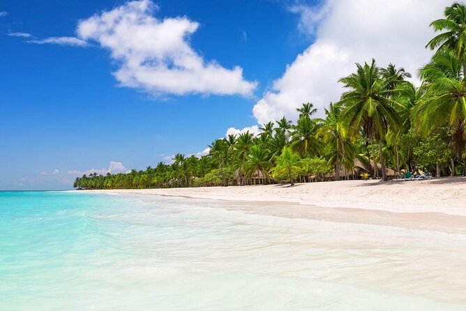 Saona Island Private Boat Tour with Lunch and Beverages - Why a private Saona day can be worth the price