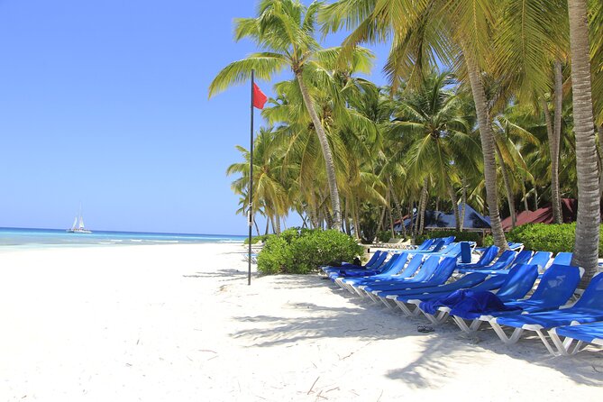 Saona Island Private Boat Tour with Lunch and Beverages - The 6:30 am start and ride to the dock