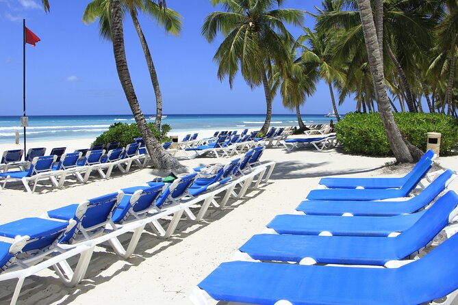 Saona Island Private Boat Tour with Lunch and Beverages - What the private format is like for different groups