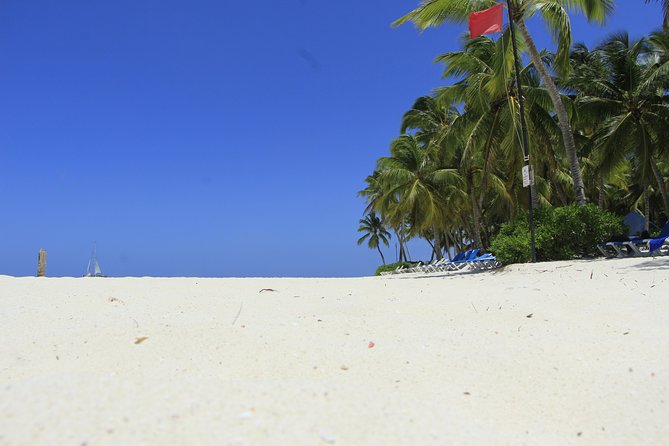 Saona Island Private Boat Tour with Lunch and Beverages - Timing, weather, and cancellation rules