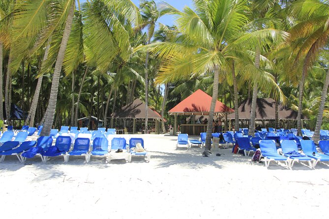 Saona Island Private Boat Tour with Lunch and Beverages - Should you book the Saona private boat tour?