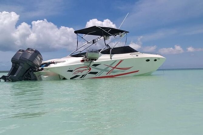 Saona island - Private Tour with a Luxury Speed Boat - Why a private speedboat changes the Saona day