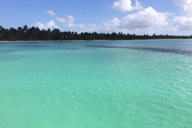 Saona island - Private Tour with a Luxury Speed Boat - Las Palmillas and its shallow natural pools