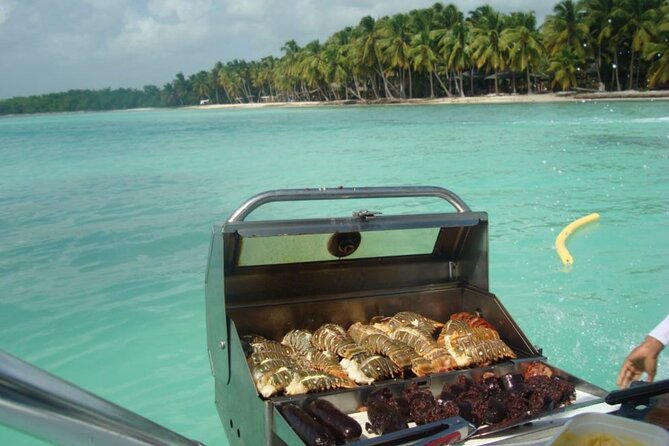 Saona island - Private Tour with a Luxury Speed Boat - What is included, and the lunch question