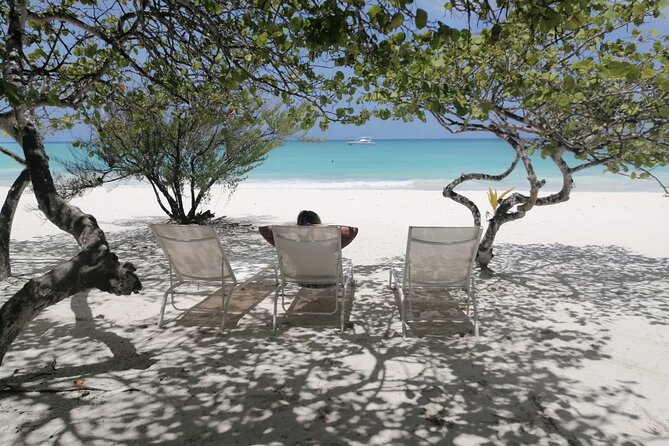 Saona island - Private Tour with a Luxury Speed Boat - Is $1,490 good value for six people?