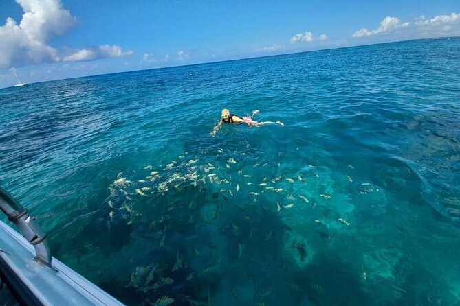 Saona island - Private Tour with a Luxury Speed Boat - The crew and the feel of the day