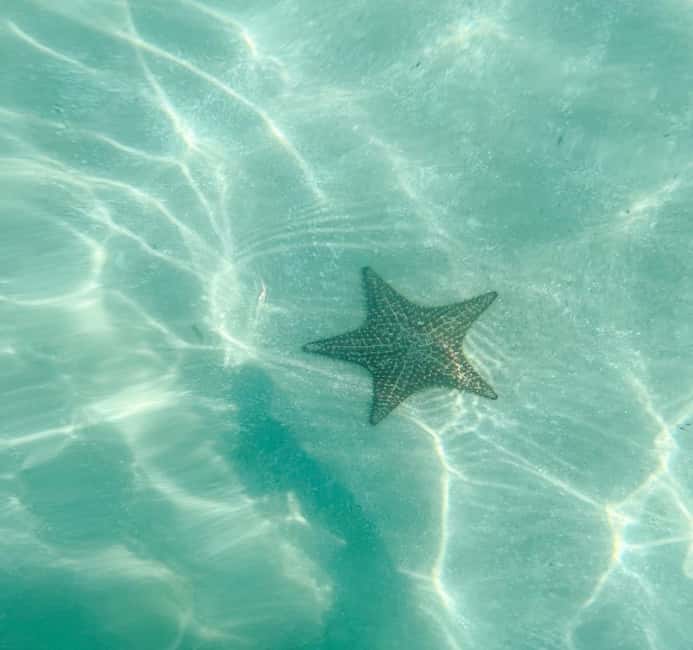 Saona Island Tour All Inclusive Speedboat and Catamaran - What the $70 price really covers