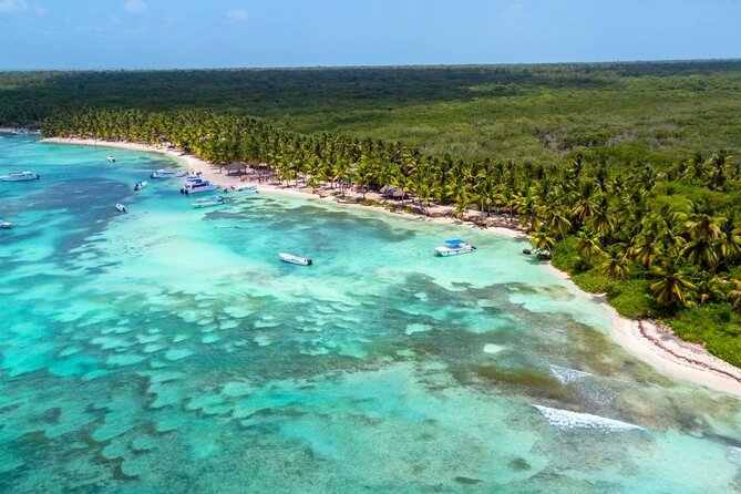 Saona Island Tour and Catamaran Party from Punta Cana - The natural pool and starfish stop