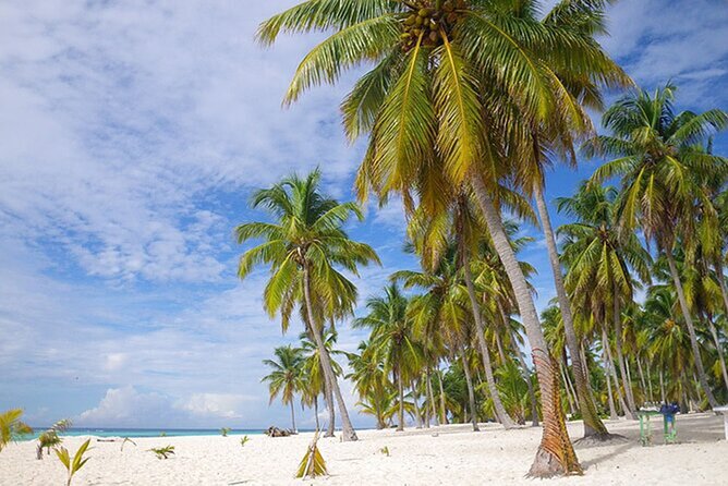 Saona Island Tour and Catamaran Party from Punta Cana - The return catamaran party