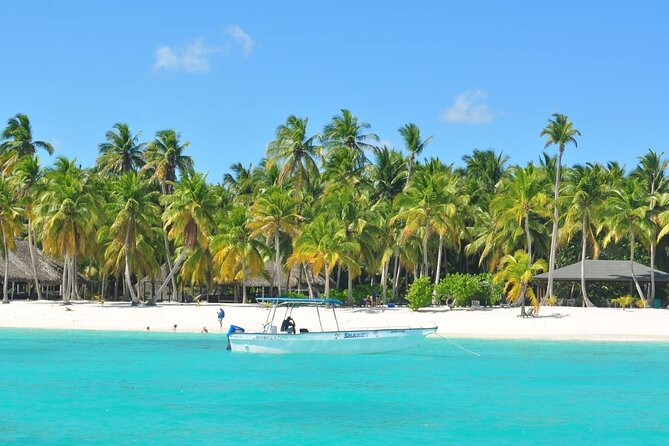Saona Island Tour from Juan Dolio with pickup - Key points to know before you book
