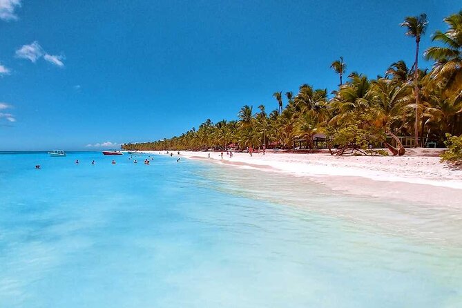 Saona Island Tour from Juan Dolio with pickup - Why Saona Island makes a strong day trip from Juan Dolio