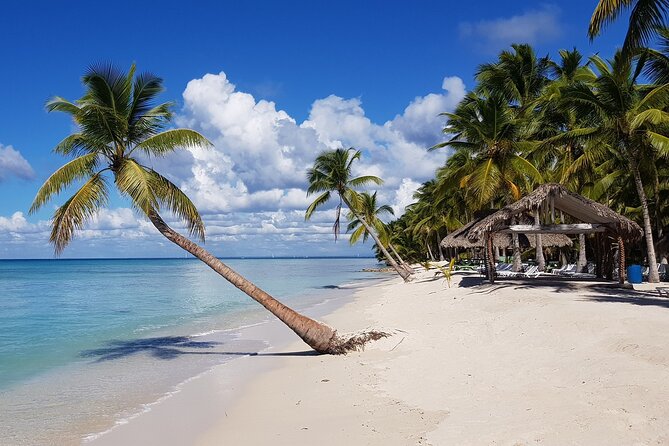 Saona Island Tour from Juan Dolio with pickup - Saona Island: two hours of sand, water, and open space