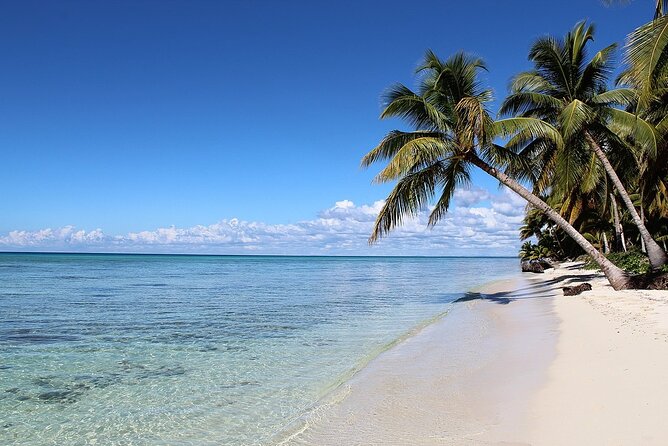 Saona Island Tour from Juan Dolio with pickup - Buffet lunch and the all-inclusive rhythm