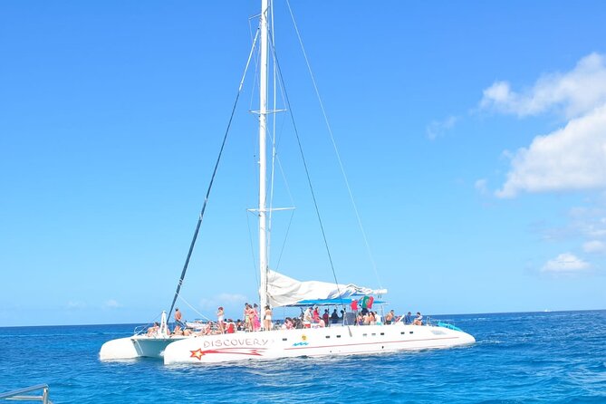 Saona Island Tour from Juan Dolio with pickup - Who will enjoy this tour most