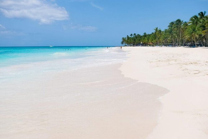 Saona Island Tour From Punta Cana - Three Hours on Catalina Island
