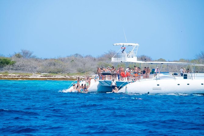Saona Island Tour From Punta Cana - Beach Buffet and Open Bar