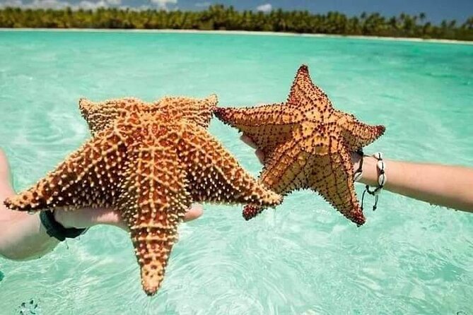 Saona Island Tour from Punta Cana All Inclusive - Road transfer from Punta Cana to La Romana