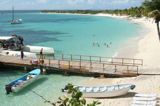 Saona Island Tour from Punta Cana with Lunch, Open Bar & Pickup - Why the natural pool is the day’s highlight