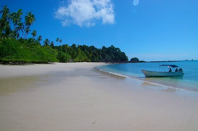 Saona Island Tour from Punta Cana with Lunch, Open Bar & Pickup - Pickup timing is the main practical concern