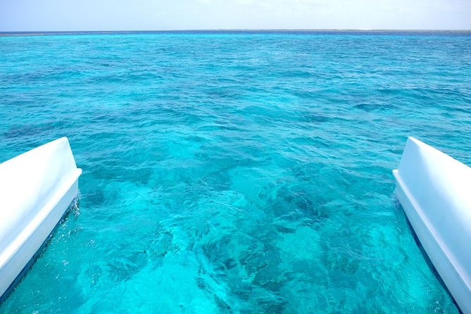 Saona Island Tour From Punta Cana - The Ride to La Romana and the Boat Transfer