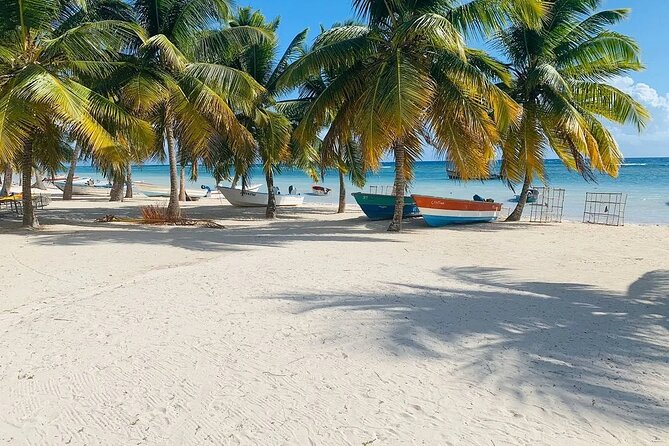 Saona Island Tour From Santo Domingo with Lunch, Open Bar, Pickup - What the $91.80 price really covers