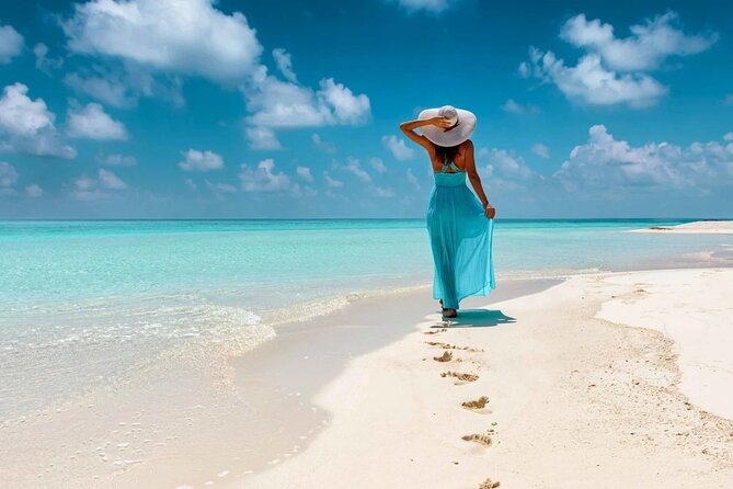 Saona Island Tour From Santo Domingo with Lunch, Open Bar, Pickup - What the existing feedback tells you