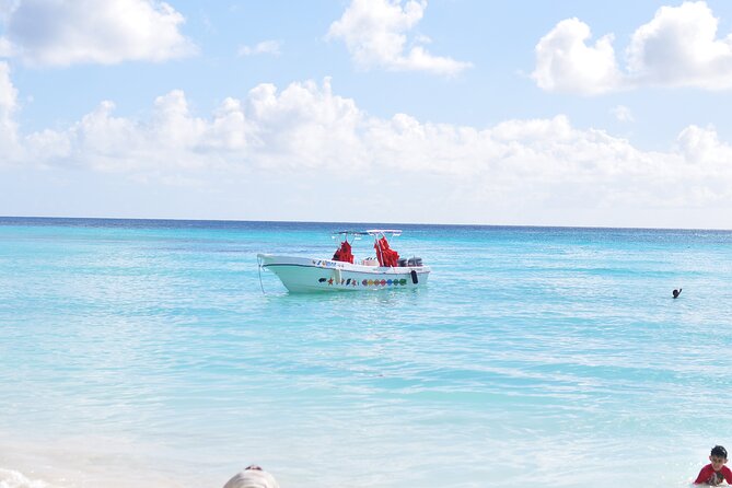 Saona Island Tour in Punta Cana - Fitness, comfort, and who will enjoy it most